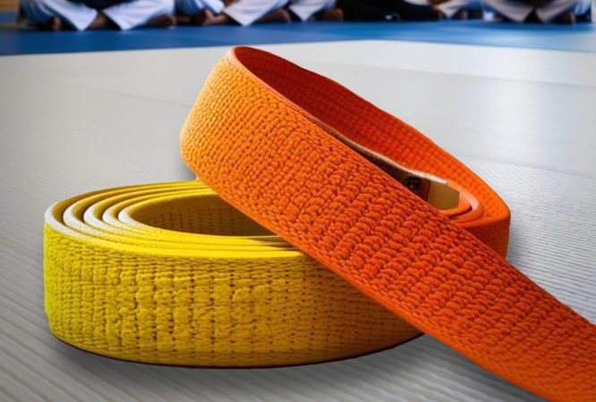 Vignette formation passage de ceinture - 5