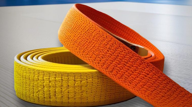 Vignette formation passage de ceinture - 5